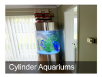 Cylinder Aquariums