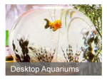 Desktop Aquariums